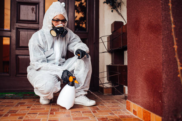 Reliable Bed Bug Control contractor in Wytheville, VA by Nex Pest Control