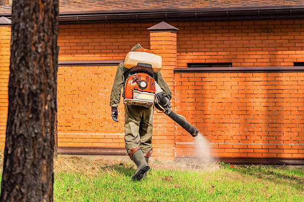 Trusted Mosquito Control service in Wytheville, VA - Nex Pest Control